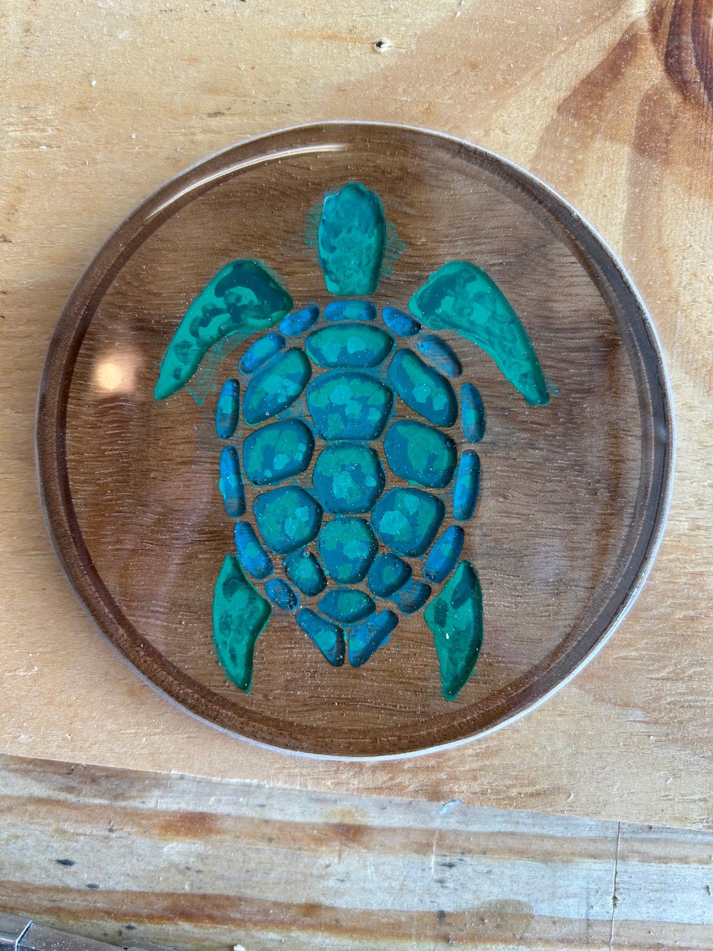 Turtle coasters